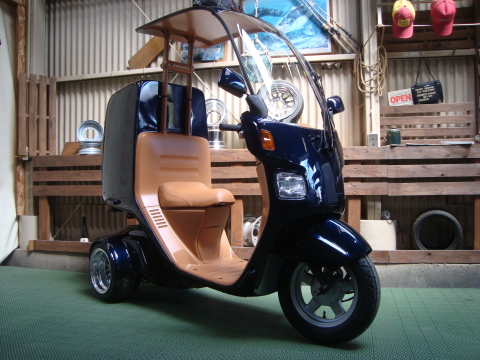 270　キャノピー