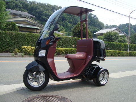 262　キャノピー