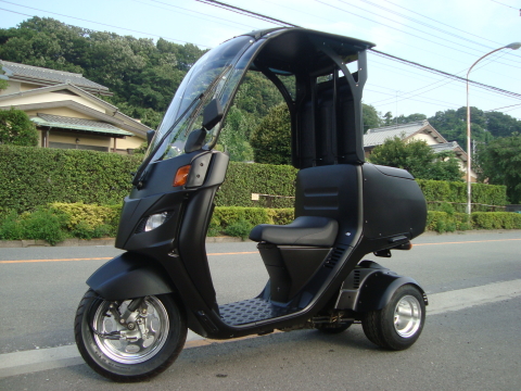 239　キャノピー