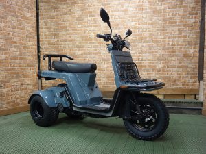 C301